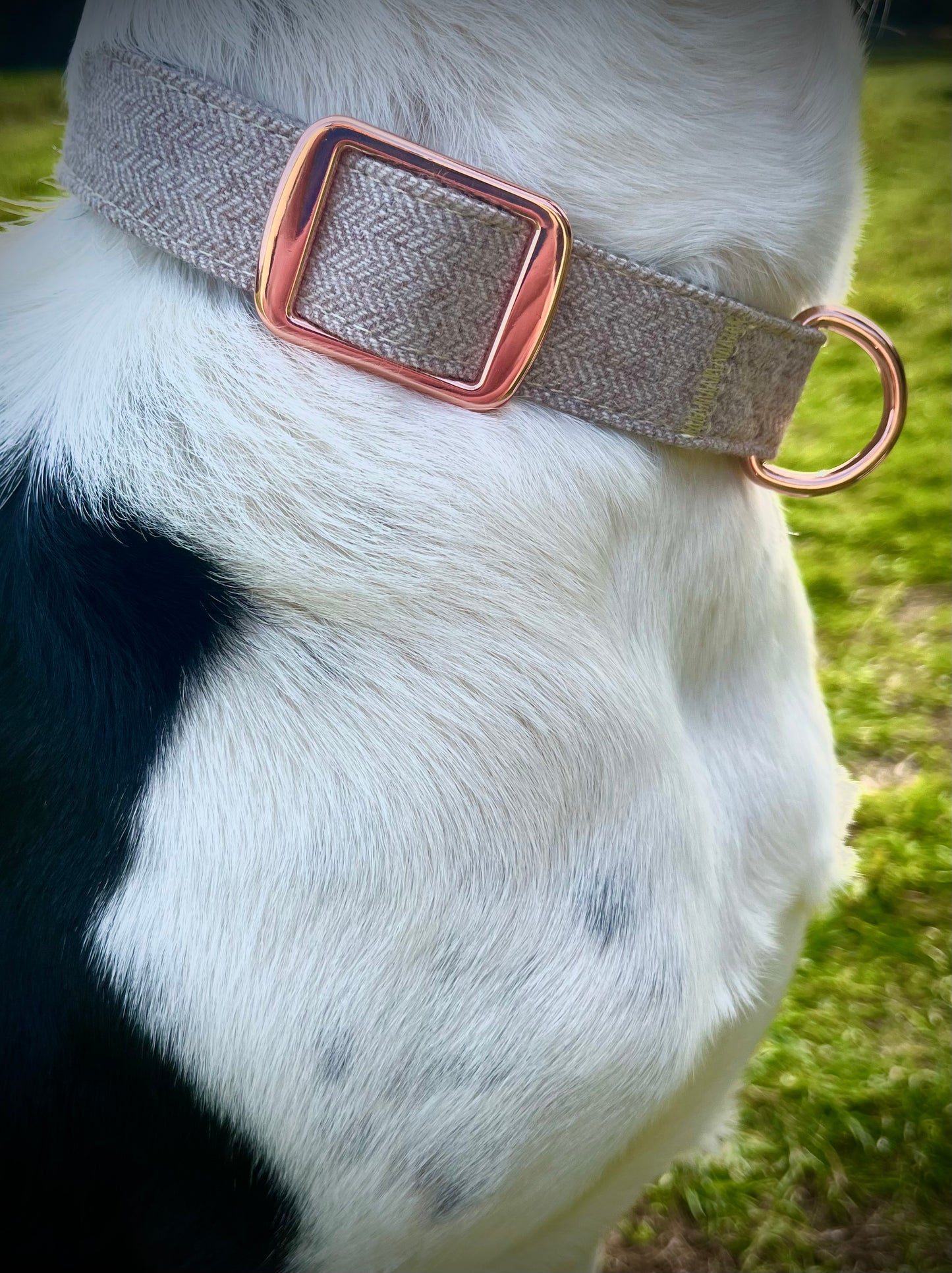 Halsband-Set "Stoff"